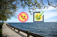 Don't Worry Be Happy