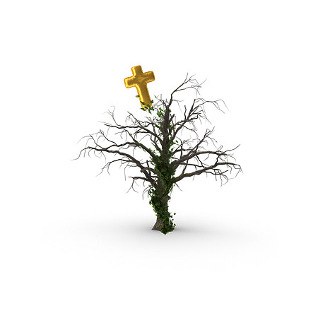 True Vine