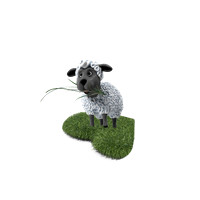 Feed My Sheep