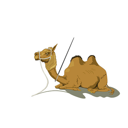 Camel Eye